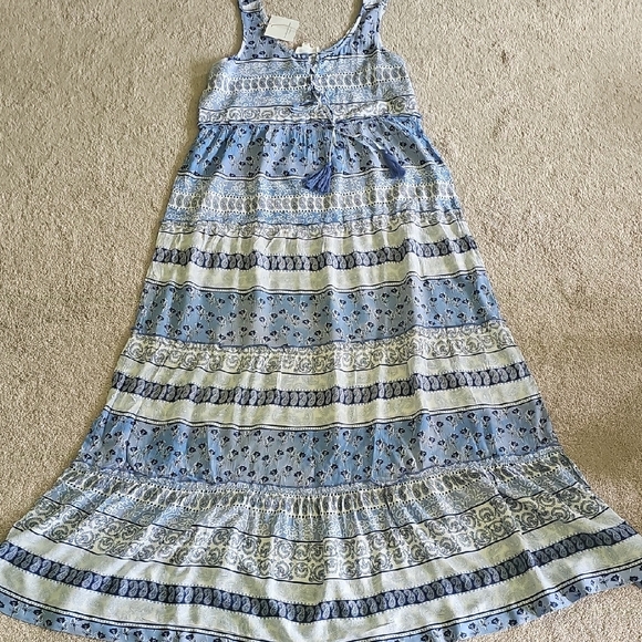 beachlunchlounge Dresses & Skirts - Beachlunchlounge Blue and White Patterned Maxi Dress